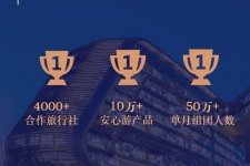 阳江上海私人伴游 ​ “小而美”的新时代：2020年国内新跟团消费报告