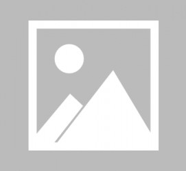 阳江最新导游伴游雇用信息(最新导游伴游雇用信息大全)