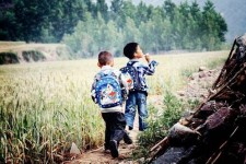 阳江河南一家四口结伴游中国2个月(河南适合一家四口旅游的地方)