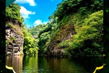 阳江旅游报价(旅行团旅游报价)