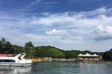 阳江二日游(二日游普陀山游玩的最佳路线)