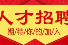 阳江上海伴游招聘 招聘 | 浦东机场专柜销售