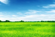 阳江上海伴游 上海模特伴游微信号的交友宣言