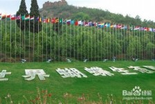 阳江昆明旅游攻略(昆明旅游攻略景点大全抚仙湖)