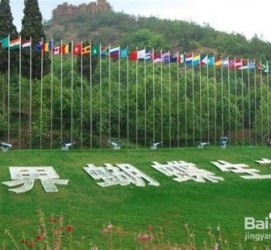 阳江昆明旅游攻略(昆明旅游攻略景点大全抚仙湖)