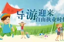 阳江私人伴游 “网约导游”到底是正流行 还是不热闹