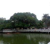 阳江福州旅游攻略(福州旅游攻略二日游)