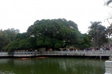 阳江福州旅游攻略(福州旅游攻略二日游)