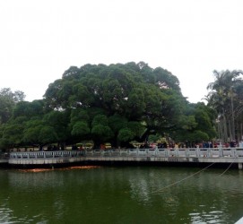 阳江福州旅游攻略(福州旅游攻略二日游)