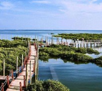 阳江旅游哪里好玩(云南旅游哪里好玩)