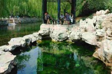阳江济南旅游攻略(青岛威海济南旅游攻略)