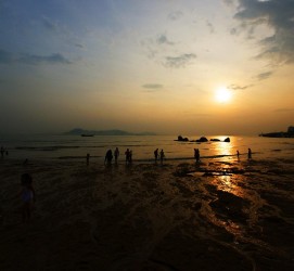阳江厦门旅游攻略(厦门旅游攻略自由行最佳线路6天)