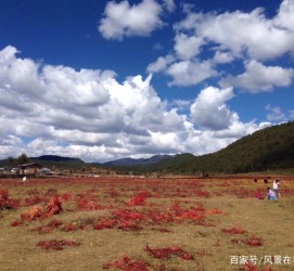阳江旅游去处(暑期最好的旅游去处)