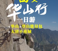 阳江一日游(一日游需要准备些什么东西?)
