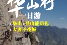 阳江一日游(一日游需要准备些什么东西?)