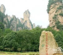 阳江自驾旅游攻略(自驾旅游攻略app排行榜)