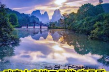 阳江游跟团(旅游跟团)