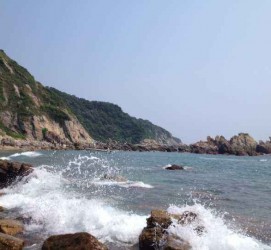 阳江深圳旅游攻略(广州深圳旅游攻略)