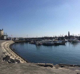 阳江大连旅游攻略(大连旅游攻略自由行)