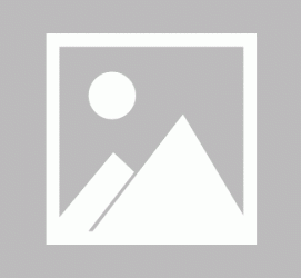 阳江私人伴游 黄金周里动“黄”经 天津又现“私人陪游”逆流