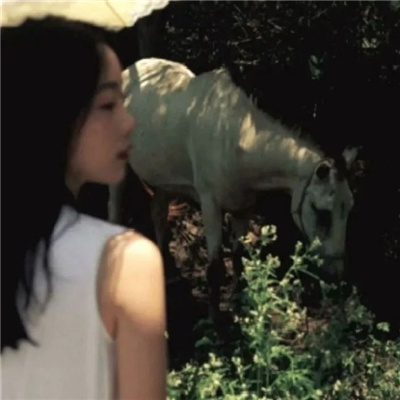 阳江私家伴游让你拥有一次完美的旅游体验